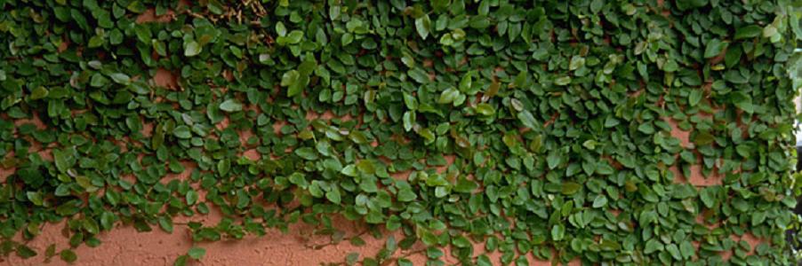 �ǖʗΉ������܂łɍl���邱�ƂȂǁA�ڂ������J�ɉ������T�C�g�w�ǖʗΉ��̓����܂Łx